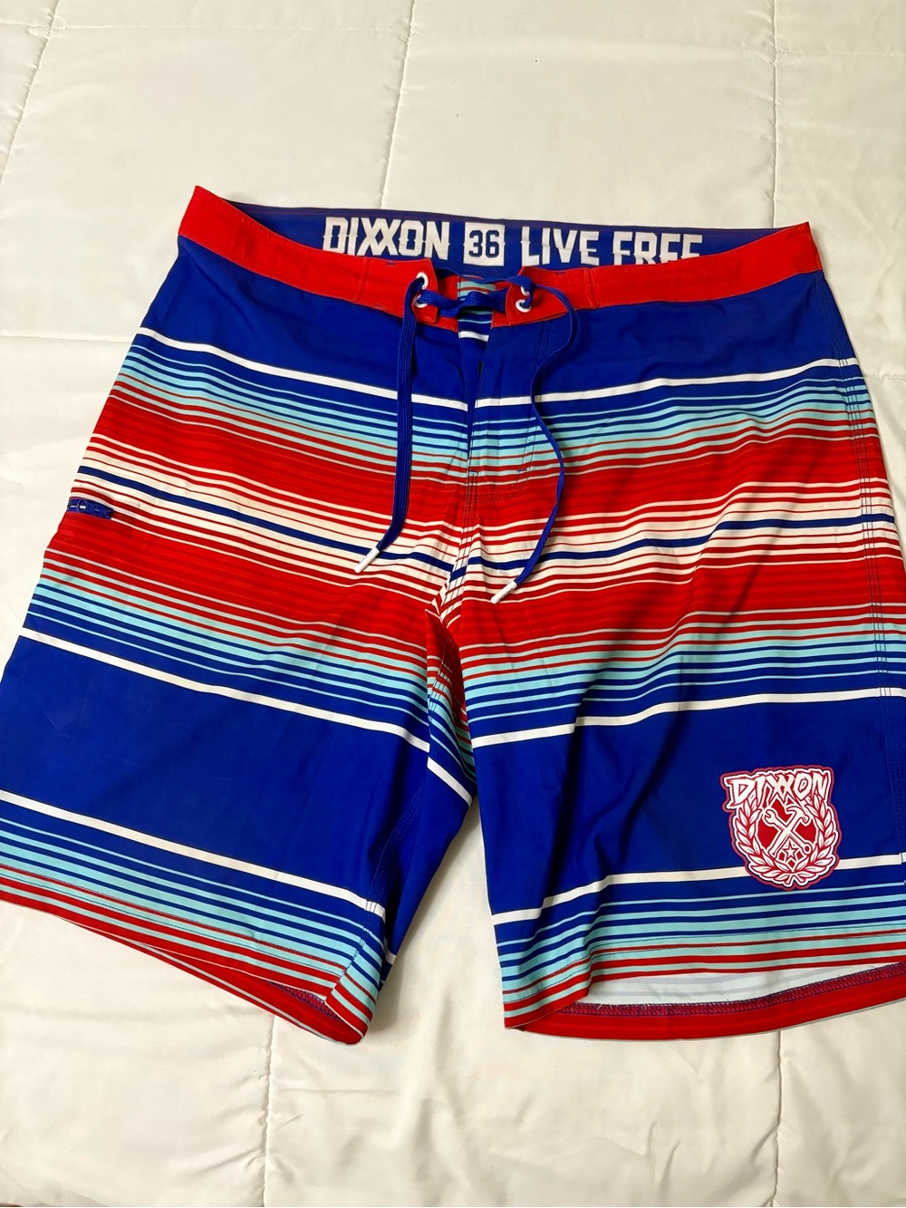 DIXXON Blue and Red Striped Men's Board Shorts
